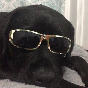 Meet your Posher, Jordyn